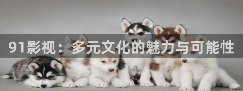 飘零影院理论：91影视：多元文化的魅力与可能性