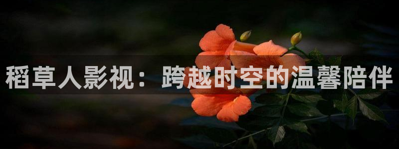 飘零影院未来影院：稻草人影视：跨越时空的温馨陪伴