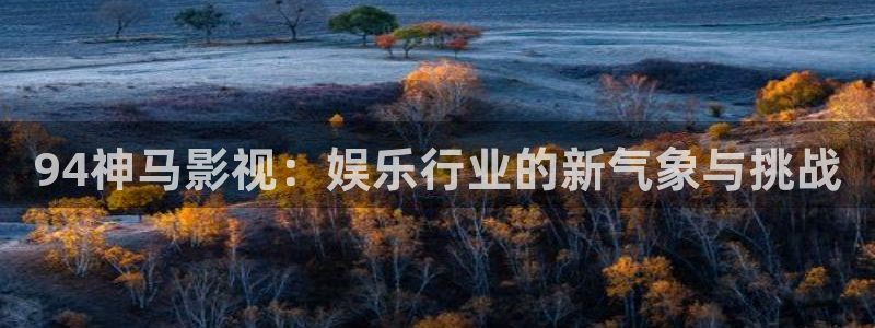 飘零影院网：94神马影视：娱乐行业的新气象与挑战