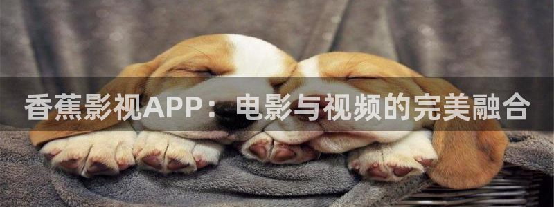 飘零影院在线看：香蕉影视APP：电影与视频的完美融合